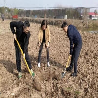 大觀(guān)區(qū)開(kāi)展義務(wù)植樹(shù)活動(dòng)